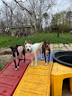 Pet boarding services Sweet Paws Retreat in Yorkville in IL