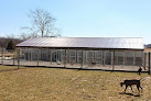 Pet boarding services Sweet Pea Kennels in Jackson in MO