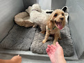 Pet boarding services Sycamore Lane Kennels in Lodi in CA