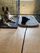 Pet boarding services Syke Kennels Training Llc in Jackson in MS