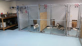 Pet boarding services T And T Kennels in Irvine in KY
