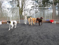 Pet boarding services Tail Wag-inn Boarding Kennel in Dundee in Oregon