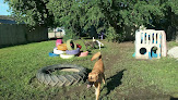Pet boarding services Tail Wagger Inn in Manhattan in Kansas