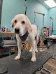 Pet boarding services Tail Wagg'n Cuts Canine Salon in Brookings in SD