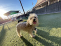 Pet boarding services Tails Pet Resort in Las Vegas in Nevada