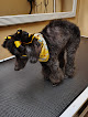 Pet boarding services Tails Spa And Boutique in Clovis in CA