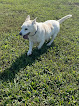 Pet boarding services Taj Madog, Inc. in Topeka in Kansas