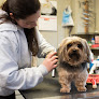 Pet boarding services Tarheel Total Pet Care in Bedminster in NJ
