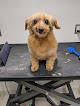 Pet boarding services Tender Loving Care Pet Nursing Hotel in Topeka in KS