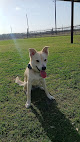 Pet boarding services Texotic Kennels in Victoria in Victoria