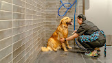 Pet boarding services The Animal Den in Lebanon in IN