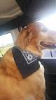 Pet boarding services The Animal Shop, Llc in Logansport in Indiana