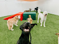 Pet boarding services The Ark Pet Spa & Hotel - Southside in Chattanooga in Tennessee