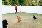 Pet boarding services The Barker House in Plympton in MA