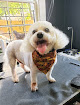 Pet boarding services The Barkery in Montgomery in Alabama