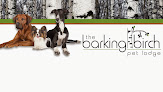 Pet boarding services The Barking Birch Pet Lodge in Cold Spring in MN