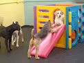 Pet boarding services The Barking Lot in Providence in RI