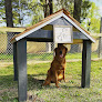 Pet boarding services The Barking Lot in Conway in Arkansas