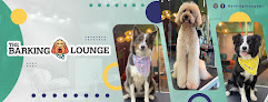 Pet boarding services The Barking Lounge in San Juan in Puerto Rico