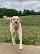 Pet boarding services The Baxter Resort For Dogs in Anderson in Alabama