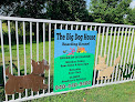 Pet boarding services The Big Dog House in Aubrey in TX