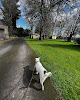 Pet boarding services The Charlton Kennels And Farm in Portland in OR