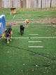 Pet boarding services The Cool Dog Country Club in North Charleston in South Carolina