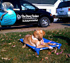 Pet boarding services The Dawg Trainer in Foristell in MO