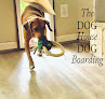 Pet boarding services The Dog House Dog Boarding in Round Rock in Williamson