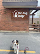 Pet boarding services The Dog Lodge in Midvale in Utah