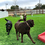 Pet boarding services The Dog Ranch At Liberty Hill in Liberty Hill in Williamson