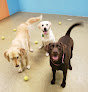Pet boarding services The Dog Resort in Fort Myers in FL