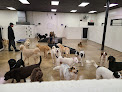 Pet boarding services The Dog Spot in Nashville in Tennessee