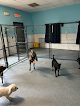 Pet boarding services The Dog Stay in Silver Spring in Maryland