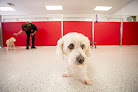 Pet boarding services The Dog Stop - Richmond Va in Richmond in Virginia