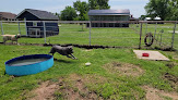 Pet boarding services The Doggie Dorm in Norman in OK