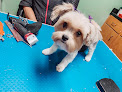 Pet boarding services The Doggie Spa in Maumelle in Arkansas