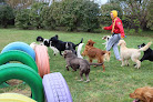 Pet boarding services The Dogwood Pet Hotel & Day Spa in North Sioux City in SD