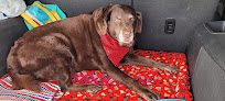 Pet boarding services The Farm At Flint Creek in West Point in Indiana