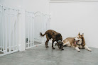 Pet boarding services The Fur Seasons Pet Resort in Wichita in KS