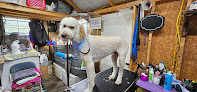 Pet boarding services The Fur Shed in Russell Springs in Kentucky