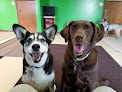 Pet boarding services The Furlough Dog Daycare And Pet Resort in Flint in MI