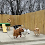 Pet boarding services The Gold Leash - Carol Stream in Carol Stream in Illinois