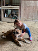 Pet boarding services The Good Life Equestrian Center in Fort Calhoun in Nebraska