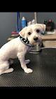 Pet boarding services The Groom Room Pet Spa & Resort in New Iberia in Louisiana