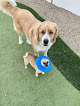 Pet boarding services The Happy Dog Inn in Scottsdale in Arizona