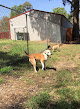Pet boarding services The Happy Hound Hotel, Llc in West Monroe in Louisiana