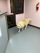 Pet boarding services The Hey Farm in Robertsdale in Alabama