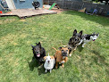 Pet boarding services The K9 Professionals in Boise in Idaho