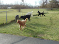 Pet boarding services The K9 Spot in Newark in OH
